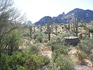 photo thumbnail #9