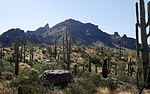 photo thumbnail #11