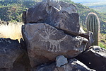 photo thumbnail #2