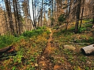 photo thumbnail #4