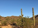 photo thumbnail #1