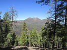 photo thumbnail #5