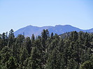 photo thumbnail #7