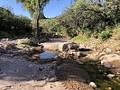 photo thumbnail #3