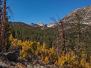 2019-10-05 :1: Tamarack Lakes Trail to Francis Lake :: Oregon_Hiker