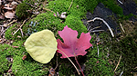 photo thumbnail #1