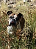 photo thumbnail #5