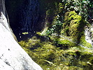photo thumbnail #15