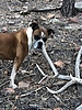 photo thumbnail #2