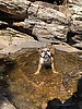 photo thumbnail #4