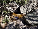 photo thumbnail #10