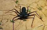 photo thumbnail #3