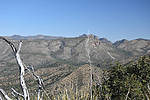 photo thumbnail #5