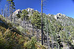 photo thumbnail #8