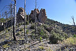 photo thumbnail #10