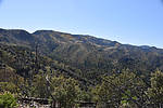 photo thumbnail #11