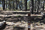 photo thumbnail #12
