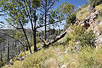 photo thumbnail #14