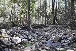 photo thumbnail #15