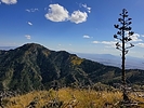 photo thumbnail #2