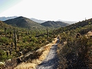 photo thumbnail #7
