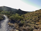 photo thumbnail #8