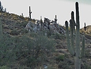 photo thumbnail #11