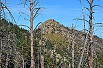 photo thumbnail #5
