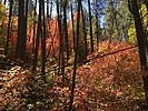 photo thumbnail #8
