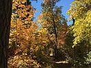 photo thumbnail #9
