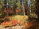 photo thumbnail #12