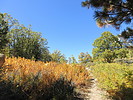 photo thumbnail #2