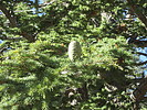 photo thumbnail #13
