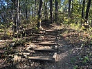 photo thumbnail #3