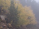 photo thumbnail #15