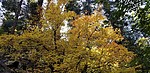 photo thumbnail #10
