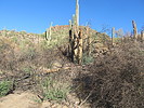 photo thumbnail #4