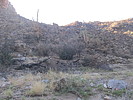 photo thumbnail #6
