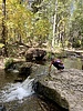 photo thumbnail #8