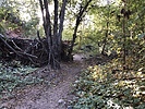 photo thumbnail #1