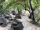 photo thumbnail #9