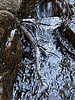 photo thumbnail #15