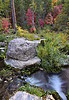 photo thumbnail #5
