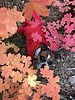 photo thumbnail #10