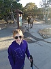 photo thumbnail #1