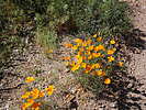 photo thumbnail #14