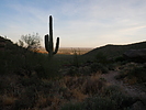 photo thumbnail #13