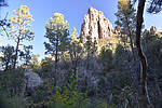 photo thumbnail #1