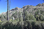 photo thumbnail #3