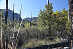 photo thumbnail #4